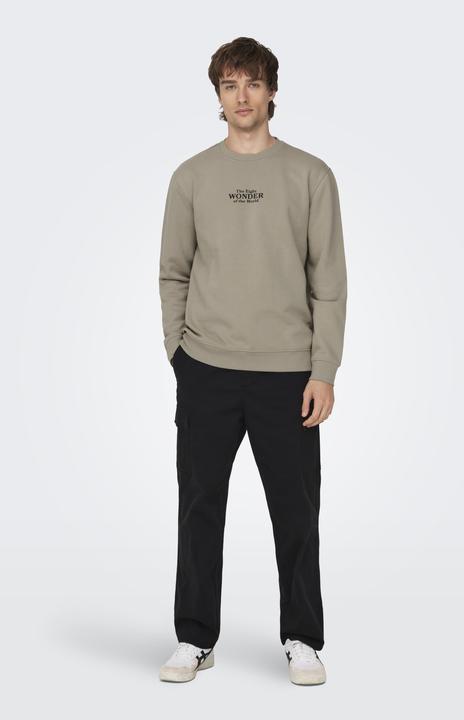 Immagine prodotto Only & Sons ONSCELEBRITY REG CREW NECK SWT - 562138 (L)