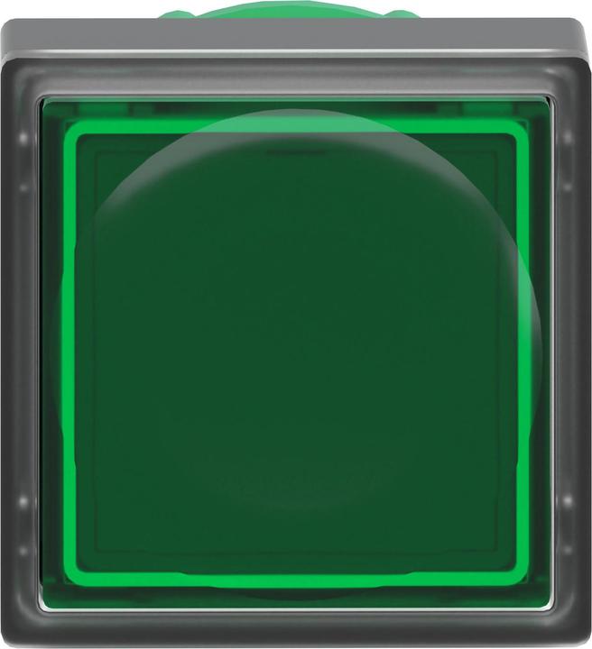 Immagine prodotto Schneider Electric Pulsante da 22 mm Verde Quadrato Illuminato