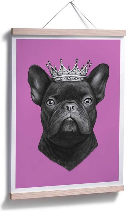 Actual product image Trenddeko King French Bulldog pink (30 x 40 cm)