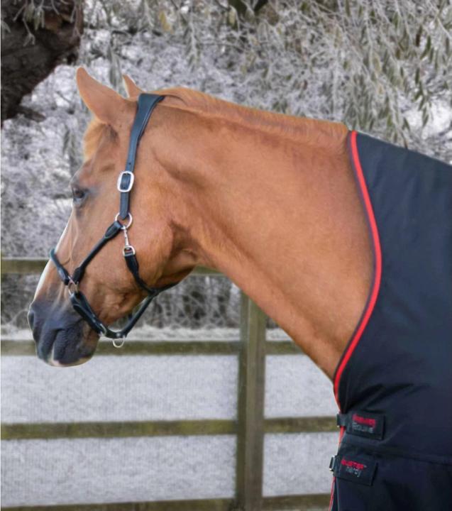 Image du produit Premier Equine Buster Hardy 400 g (191 cm)