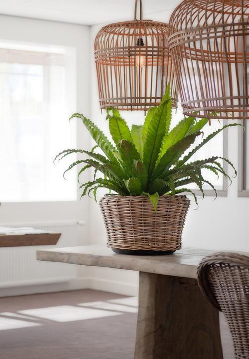 Image du produit Van der Leeden Bali (43 cm)