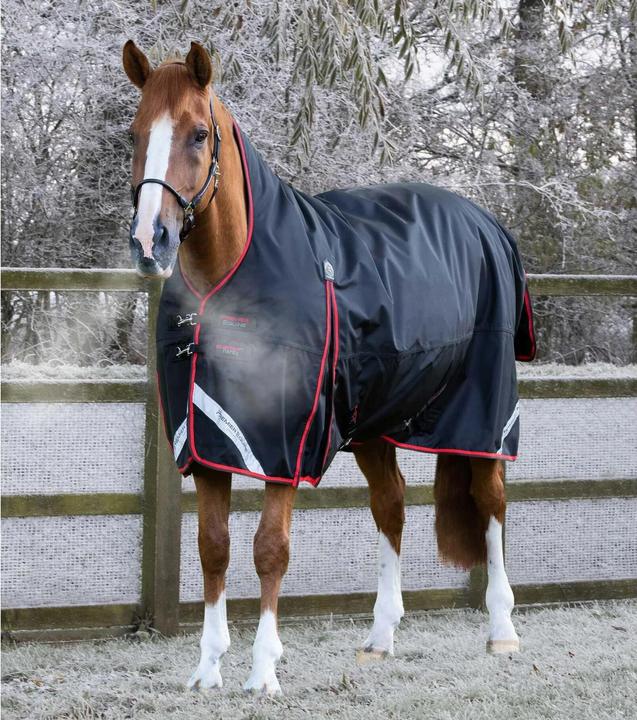 Image du produit Premier Equine Buster Hardy 400 g (191 cm)