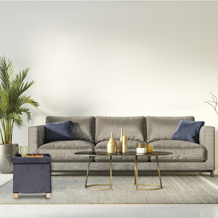 Immagine prodotto Relaxdays Pouf contenitore