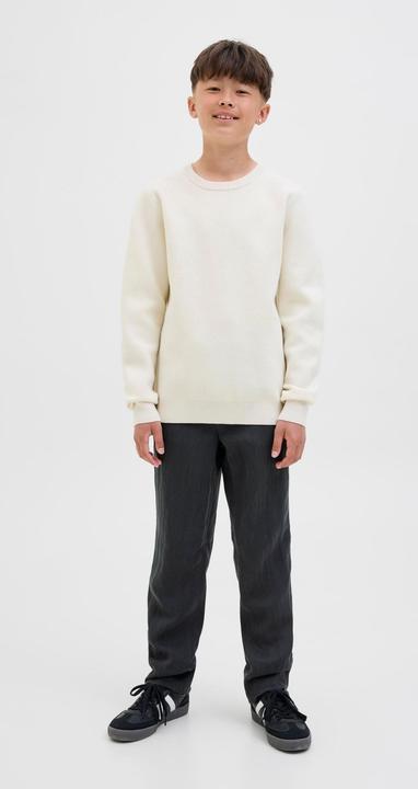Image du produit Jack & Jones Loose Fit Hosen Junior Loose Fit Hosen (134)