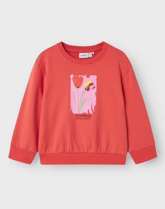 Image du produit Name it Bio-Baumwoll Sweatshirt (116)