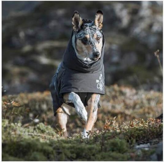 Produktbild Hurtta Wintermantel Extreme Warmer 2 (65, L, Hundemantel)