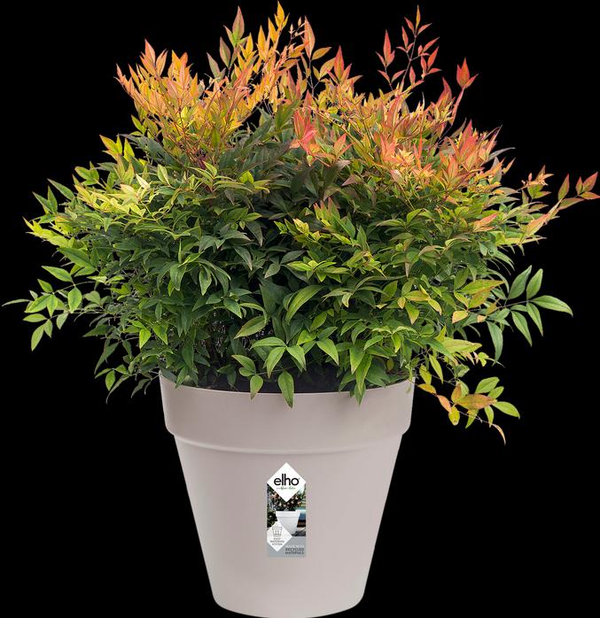 Produktbild Elho Loft Urban (19.30 cm)