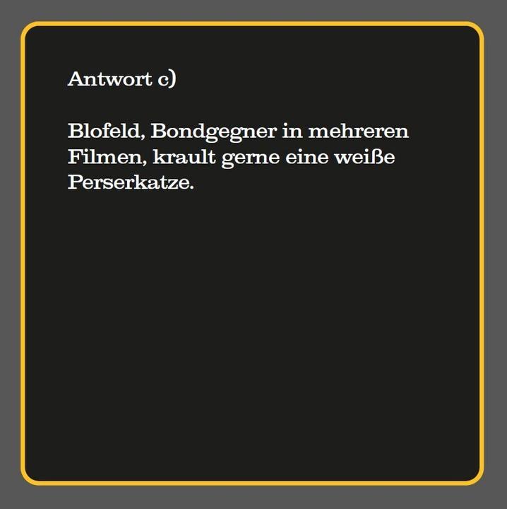 Actual product image The cat quiz (new edition) (German)
