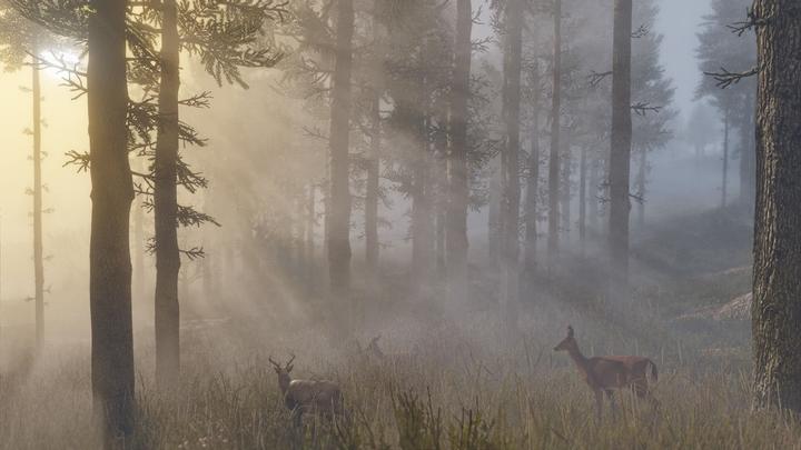 Produktbild 2K Games Red Dead Redemption 2 (PS4, FR)