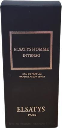 Image du produit Reyane Tradition Elsatys Homme Intenso EDP 100ml (Eau de parfum, 100 ml)