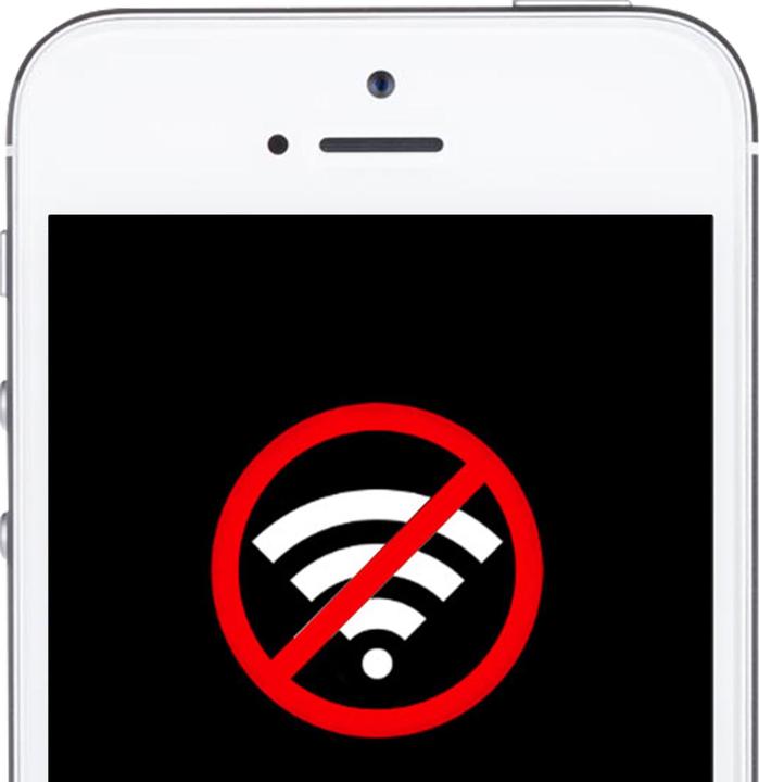 Immagine prodotto Avizar Antenna WLAN Pezzo di ricambio iPhone 5S (iPhone 5S)