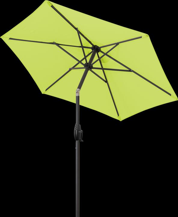 Immagine prodotto Derby Basic Lift Neo (1.80 m)