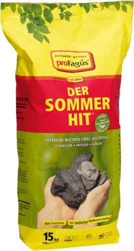 Actual product image ProFagus Holzkohle Sommerhit 15 kg (15 kg)