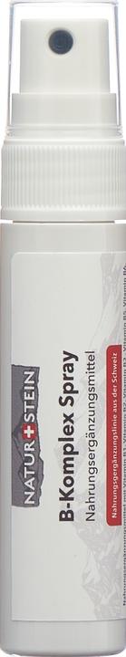 Actual product image Naturstein Vitamin Spray B-Komplex (1 Piece, Spray, 41 g)