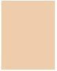 Image du produit Sisley Phyto-Poudre Compacte (2 Naturel)