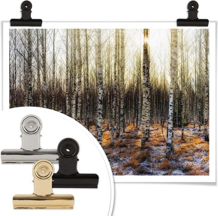 Immagine prodotto Trenddeko Il sole nella foresta di betulle (80 x 60 cm)