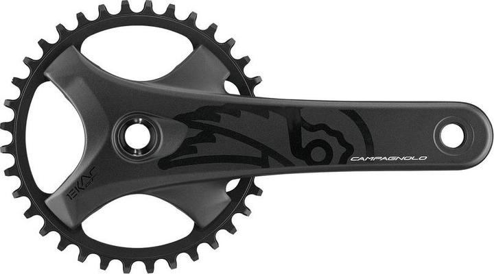 Actual product image Campagnolo Ekar GT 13s