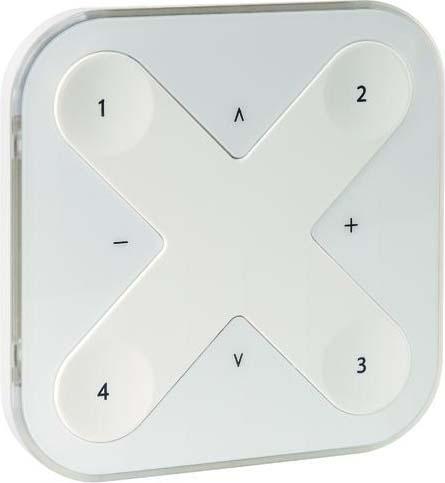 Actual product image Ridi Remote control