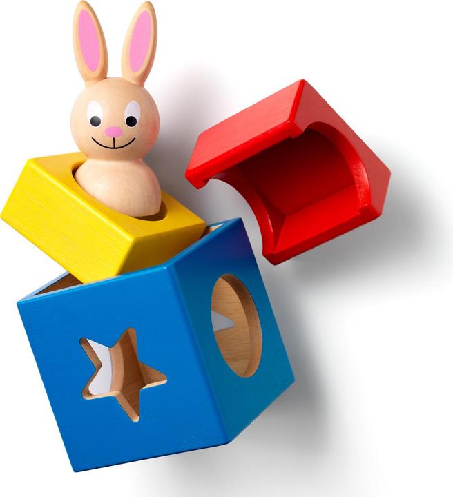 Actual product image Smart Games bunny boo (German, French, Italian, English)