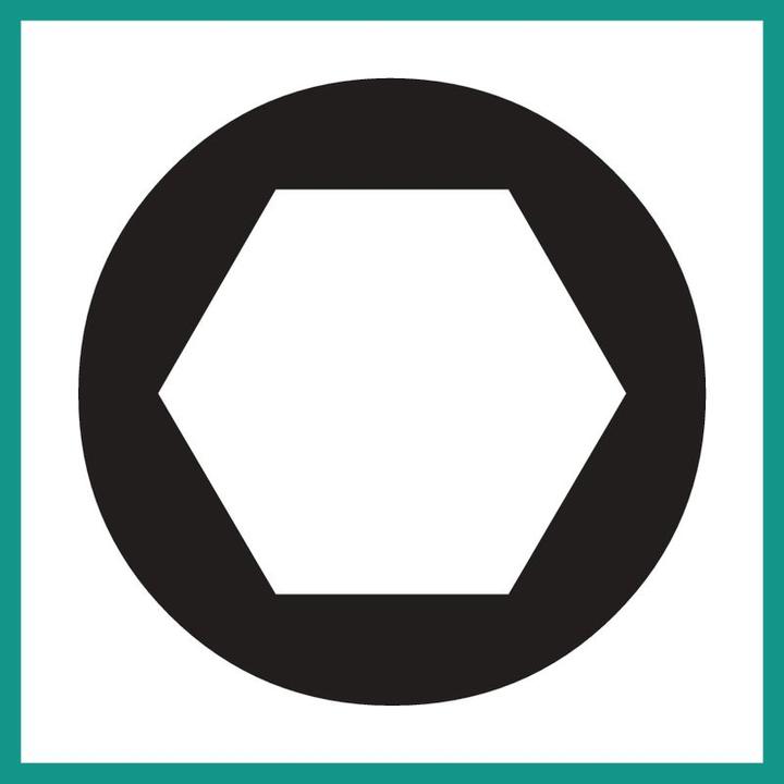 Actual product image Stahlwille External hexagon socket (10 mm)