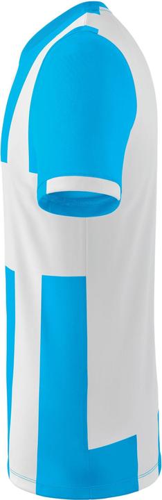Image du produit Erima Maillot Siena 3.0 (L)