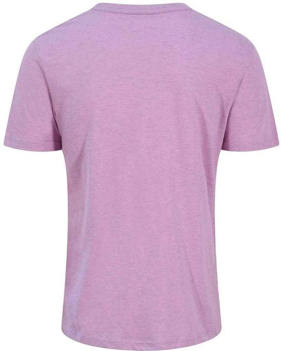 Actual product image Awdis Unisex Adult Just Ts T-Shirt (L)