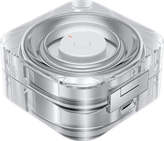 Actual product image Samsung Galaxy Ring Charging Case