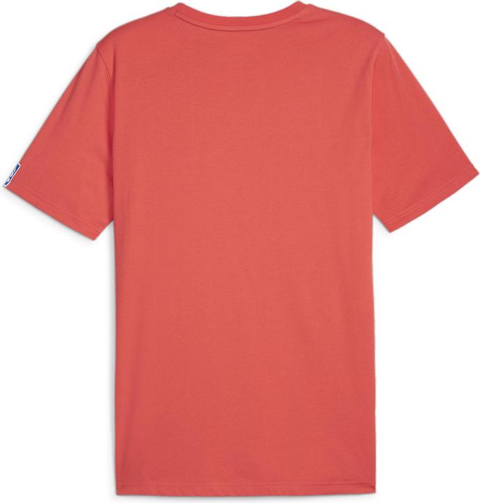 Actual product image Puma Handball Tee (L)