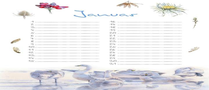 Immagine prodotto Calendario dei compleanni (Copertina rigida, Tedesco)