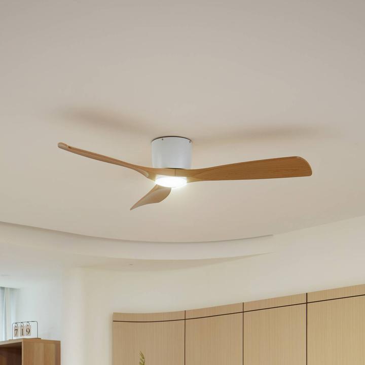 Actual product image Lucande Moneno (53 dB)