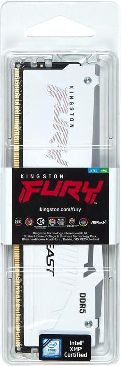 Actual product image Kingston FURY Beast RGB (1 x 32GB, 5600 MHz, DDR5 RAM, DIMM)
