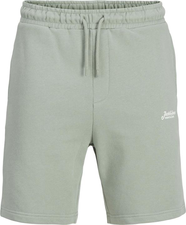Jack & Jones Regular Fit Shorts Shorts