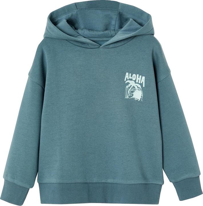 Vertbaudet Jungen Kapuzensweatshirt mit Print, Recycling-Polyester Basic