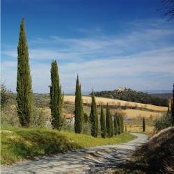 Immagine prodotto Walimex pro per filtro polarizzatore circolare rivestito 52 mm (52 mm, Filtri polarizzanti, 52 mm)