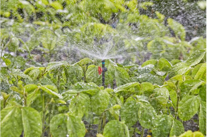 Image du produit Gardena Buse de pulvérisation 360 (Irrigation goutte à goutte)