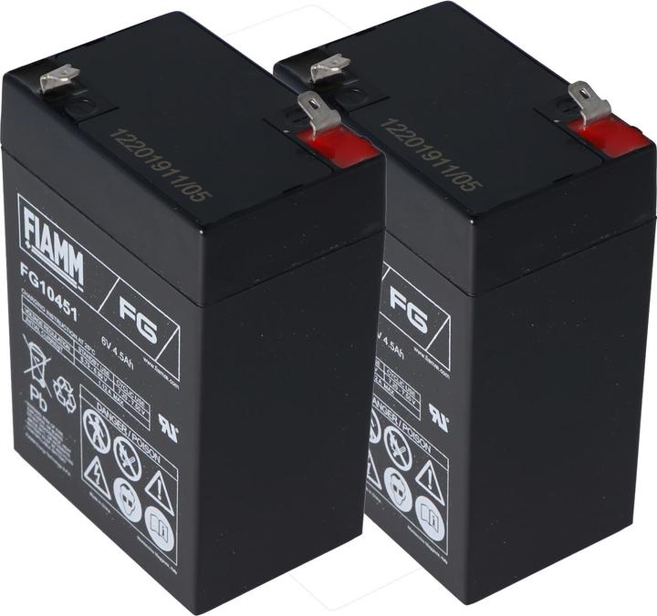 Actual product image Fiamm APC RBC1 Battery, APC Back-UPS, Model BK200BI (6 V, 4.50 Ah)