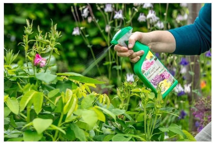 Image du produit Neudorff Remède vital BioKraft pour les roses, 500 ml