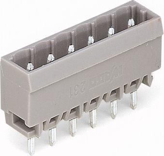 Actual product image Wago 231-169/001-000