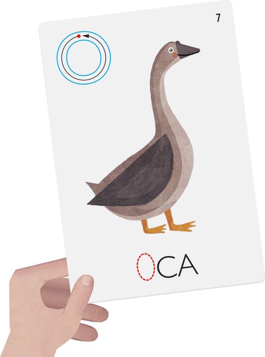 Actual product image Sombo Montessori Flashcards (Italian)
