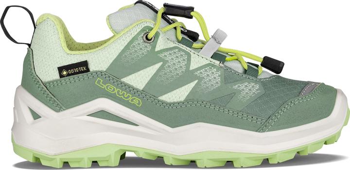 Produktbild Lowa Maddox Pro GTX LO (30)
