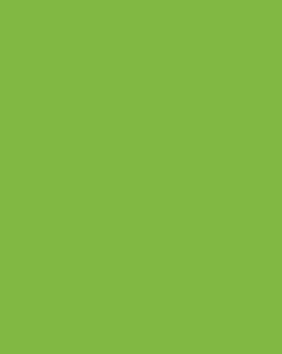 Actual product image Folia Photo cardboard 300g/m2 grass green 50x70 cm, 1 sheet with EAN code (1 x)