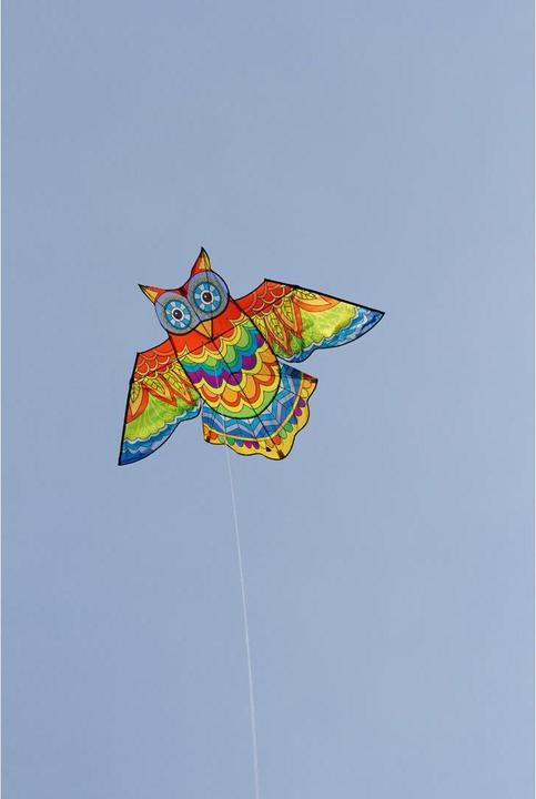 Image du produit Invento Cerf-volant Jazzy Olw Kit 145x85 cm, dès 5 ans, bobine et 40 m ficelle incl.