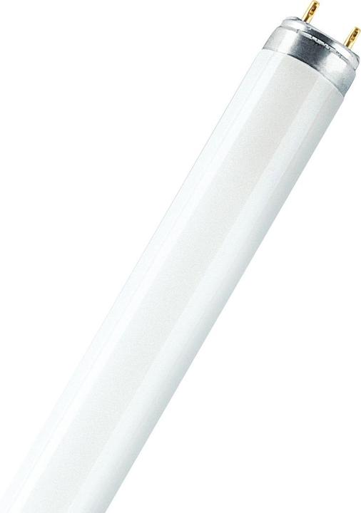 Immagine prodotto Osram Natura (G13, 30 W, 1300 lm, 10 x, B)
