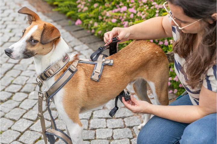 Immagine prodotto Trixie Panik-Adapter Stay für Geschirre M-L (Cane, Generale)