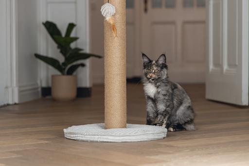 Actual product image Designed by Lotte Scratching post (70 cm, Light grey)