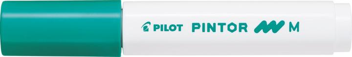 Produktbild Pilot Pintor Medium Set à 6 Standard (Mehrfarbig, 1.40 mm, 6 x)