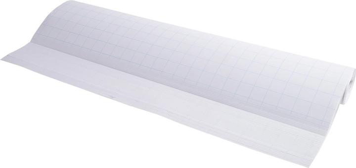 Immagine prodotto Exacompta Nachfüllbogen für Flipcharts (63 x 98 cm)