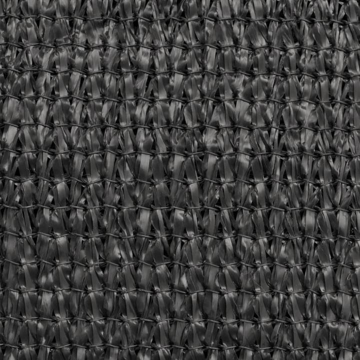 Actual product image VidaXL Alethea (200 x 400 cm)
