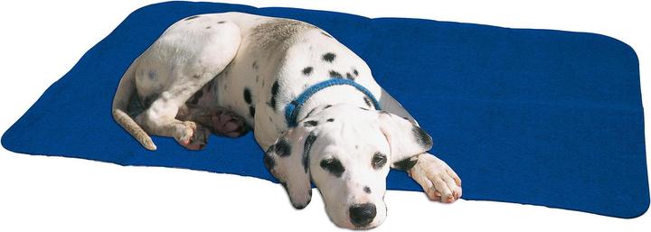 Actual product image Swisspet Hygiene dog mat 50x71cm (Dog)