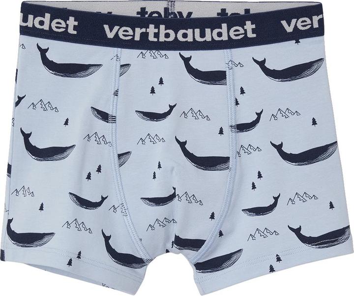 Actual product image Vertbaudet Underwear Bottom (152, 5-pack)
